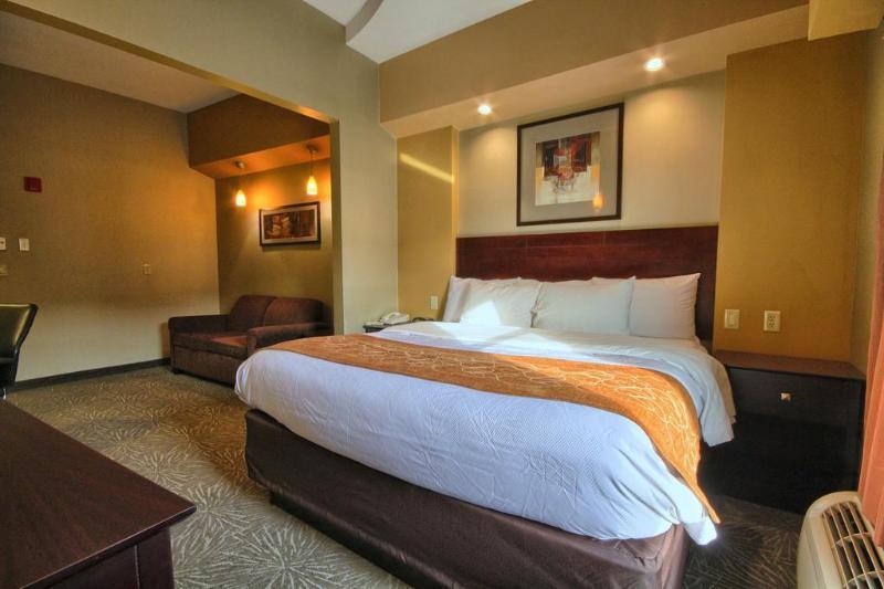 Comfort Suites Perrysburg - Toledo South Luaran gambar